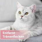 Weiße Katze auf Sofa - Entfernt Tränenflecken