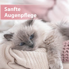 Graue Langhaarkatze kuschelt auf Decke - Sanfte Augenpflege