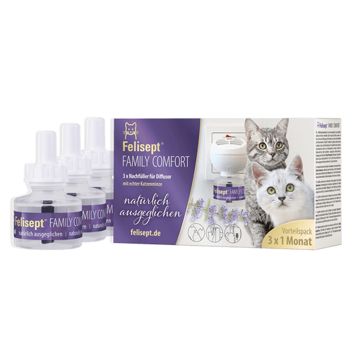 Felisept Family Comfort Nachfüller mit Flakon im 3er Pack