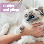 Katze liegt im Arm - Entfilzt und pflegt