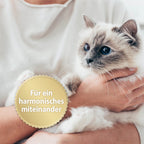 Katze wird auf Arm getragen - Für ein harmonisches miteinnander