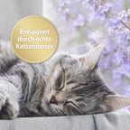 Katze schläft - Entspannt durch echte Katzenminze