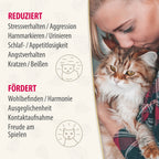 Felisept Home Comfort reduziert Stressverhalten und fördert Wohlbefinden