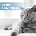 Graue Katze liegt auf der Seite - Sanfte Ohrenpflege