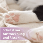 Weiße Katzenpfote - Schützt vor Austrocknung und Rissen