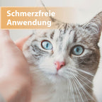 Helle Katze mit blauen Augen - Schmerzfreie Anwendung