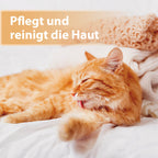 Katze liegt auf Couch und leckt sich Fell -Pflegt und reinigt die Haut
