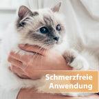 Katze wird im Arm gehalten - Schmerzfreie Anwendung