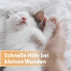 Katzenbaby schläft und streckt Pfote - Schnelle Hilfe bei kleinen Wunden