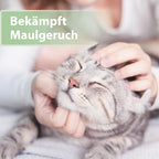 Katze wird gekrault und schließt die Augen - Bekämpft Maulgeruch